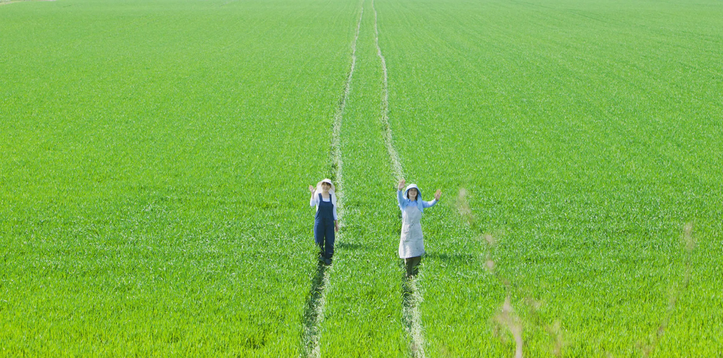 農業に関わる風景