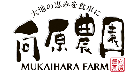 有限会社向原農園