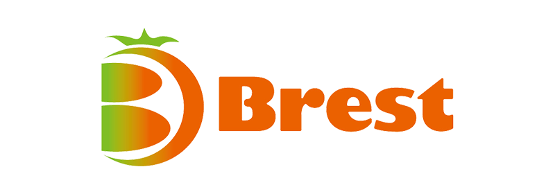 株式会社ブレスト