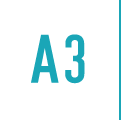 A3