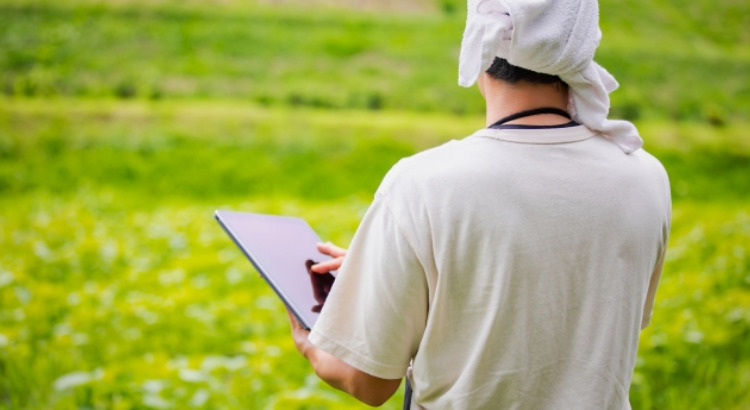 農家の仕事風景