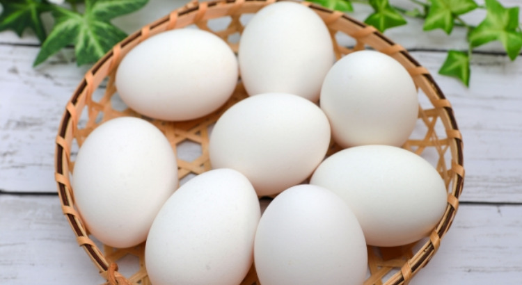 あぐりナビ就活FES.の雰囲気