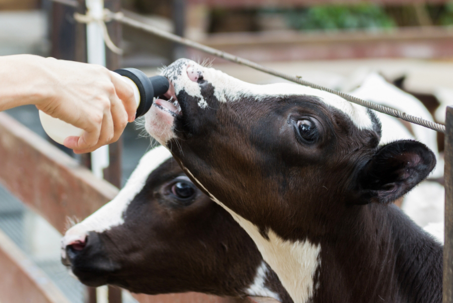 スーパーで働く男性