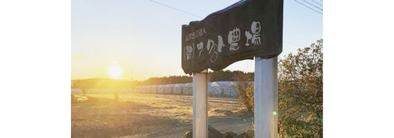 有限会社アクト農場