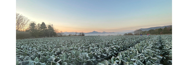 株式会社三宅農園