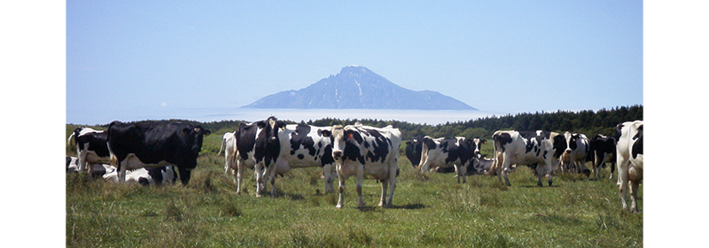 稚内酪農ヘルパー利用組合