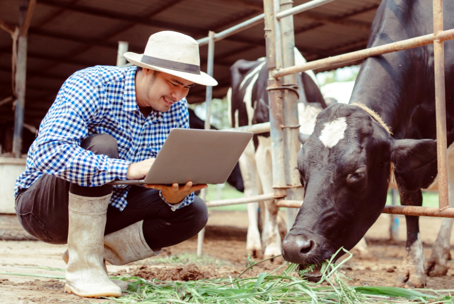 酪農作業の男性