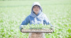 入門!農業の基礎知識
