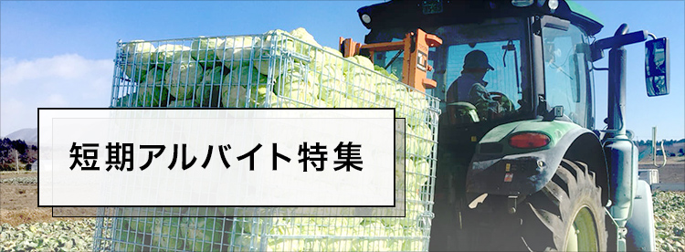 積極採用の求人特集！農繁期や事業拡大に向けて積極的に人材採用をしている求人を集めました。