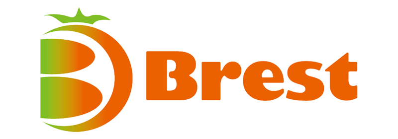 株式会社ブレスト
